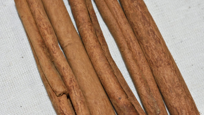 Cinnamomum burmannii - oder einfacher: Indonesischer Zimt.