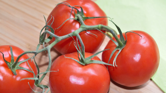 Strauchtomaten gehören zu den Lieblings-Tomaten der Deutschen - sie überzeugen durch festes Fruchtfleisch, ein intensives Aroma und gute Haltbarkeit.