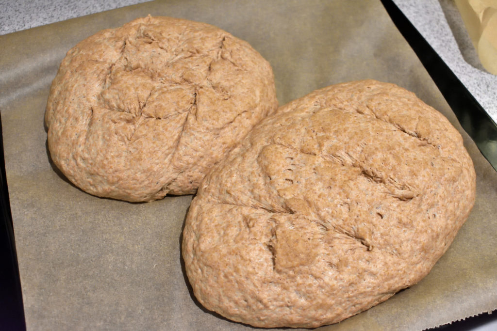 Brotteig zubereiten 6/6 | Da war das Backblech fast zu klein... ;-) Ich habe die Brote etwas angeritzt, damit beim Backen eine schön gleichmäßige Kruste entsteht.