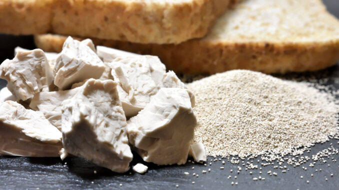 Backhefe Gestatten, das ist Saccharomyces cerevisiae - auch Backhefe, Bierhefe oder Germ genannt. Mit ihrer Hilfe gelingen Dir krosse Brote, weiche Brötchen und süßes Gebäck.