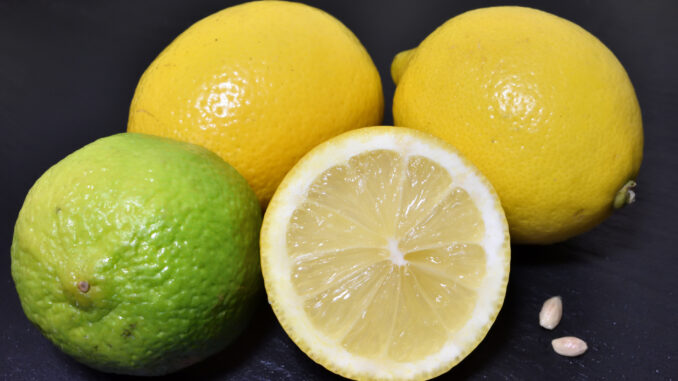 Eigentlich sehen Zitronen und Limetten ja zum Reinbeißen aus. Wären sie bloß nicht so sauer... apropos, wo hat sich eigentlich die Limone versteckt?